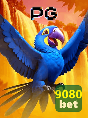 9080BET bônus — cashback 15 por cento e níveis VIP